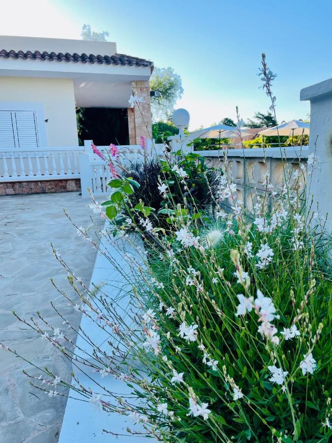 Villa Con Piscina Gigante Sant Francesc de s'Estany Ngoại thất bức ảnh